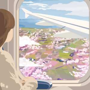 日本の桜
